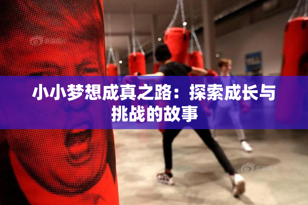 小小梦想成真之路：探索成长与挑战的故事