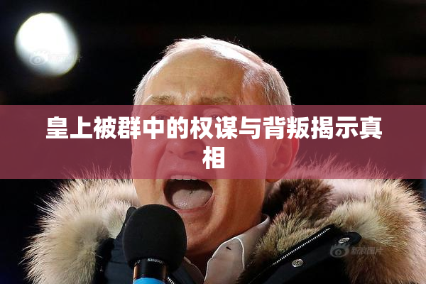 皇上被群中的权谋与背叛揭示真相