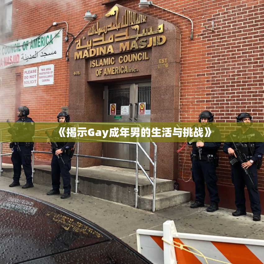 《揭示Gay成年男的生活与挑战》