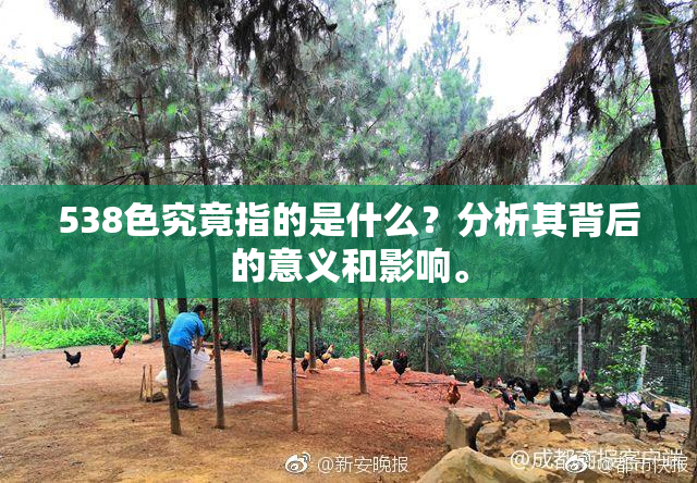 538色究竟指的是什么？分析其背后的意义和影响。