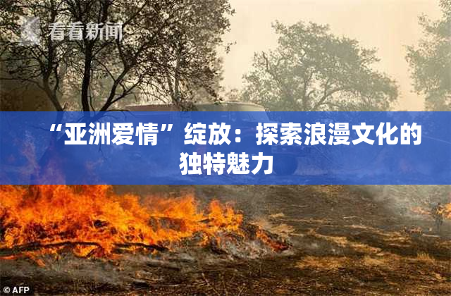 “亚洲爱情”绽放：探索浪漫文化的独特魅力