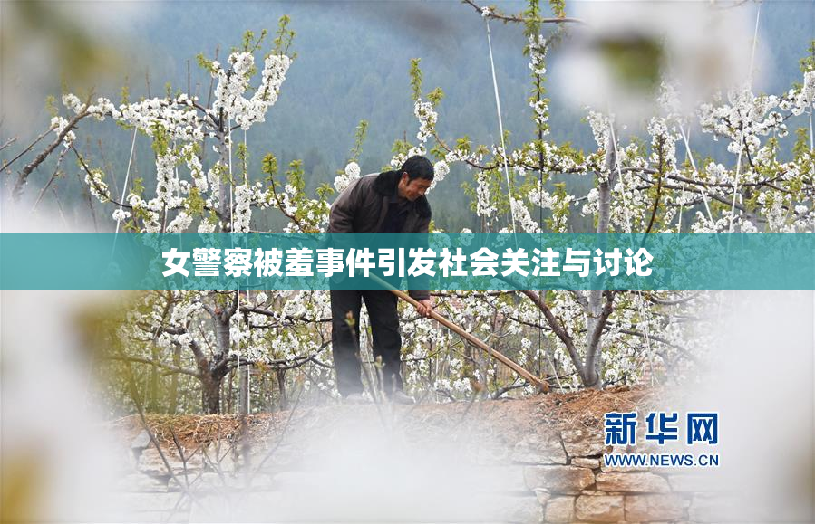 女警察被羞事件引发社会关注与讨论
