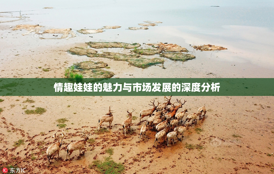 情趣娃娃的魅力与市场发展的深度分析