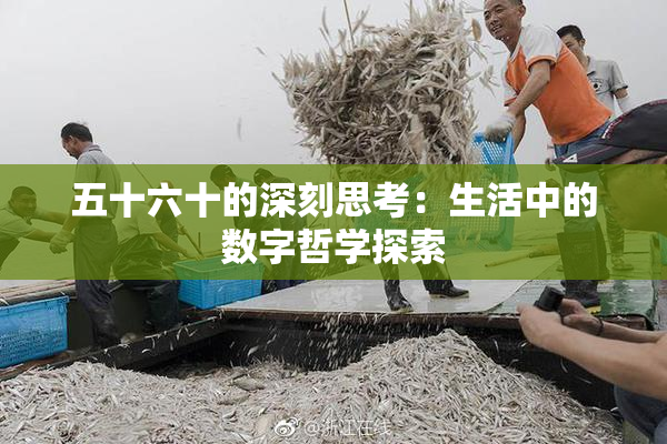 五十六十的深刻思考：生活中的数字哲学探索