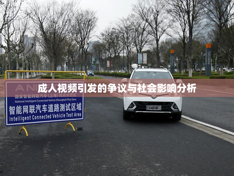成人视频引发的争议与社会影响分析