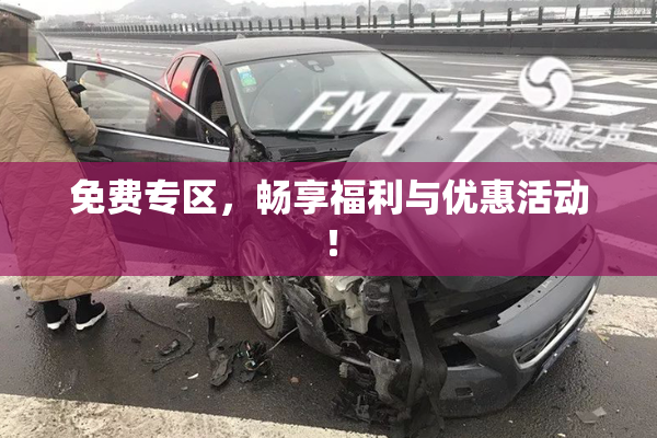 免费专区，畅享福利与优惠活动！