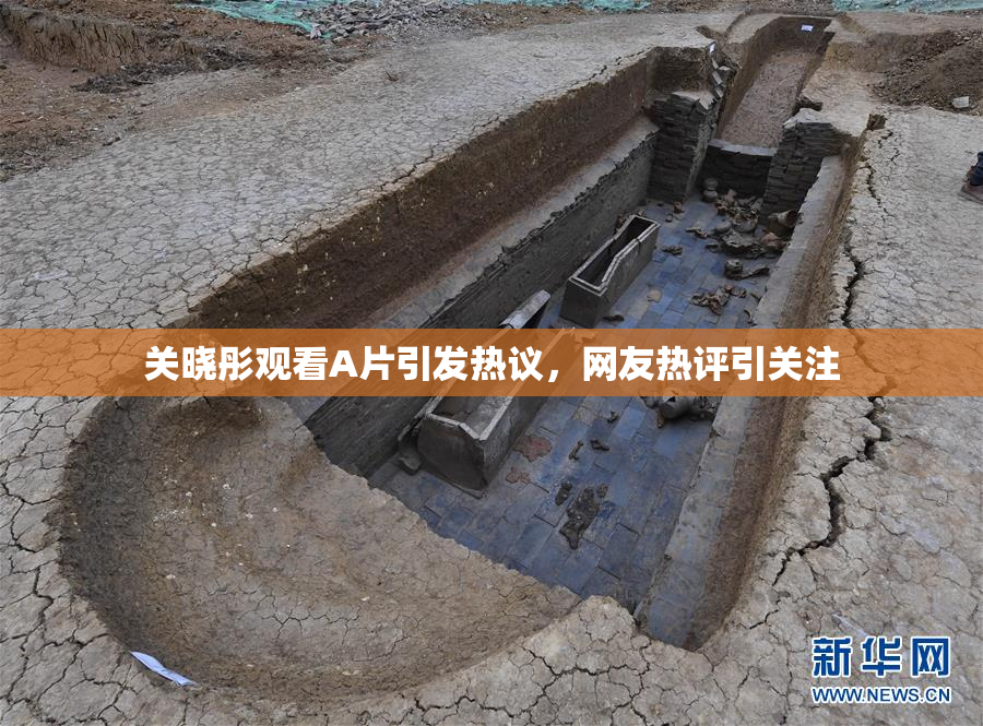关晓彤观看A片引发热议，网友热评引关注