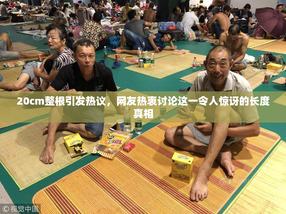 20cm整根引发热议，网友热衷讨论这一令人惊讶的长度真相