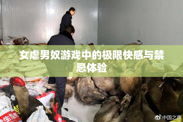 女虐男奴游戏中的极限快感与禁忌体验
