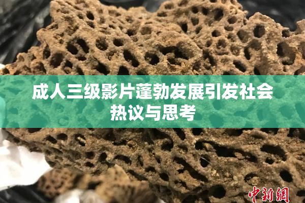 成人三级影片蓬勃发展引发社会热议与思考