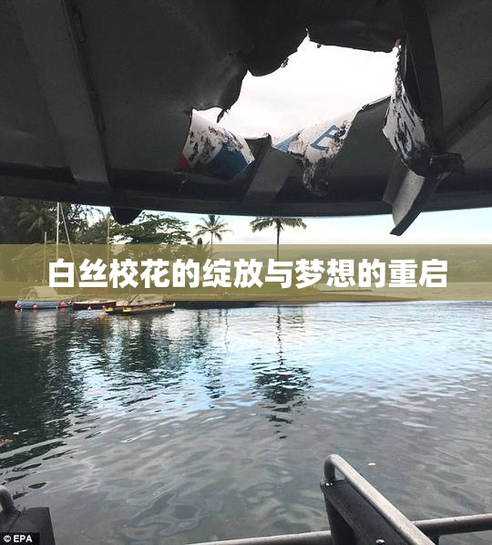 白丝校花的绽放与梦想的重启