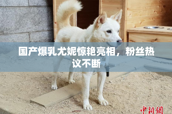 国产爆乳尤妮惊艳亮相，粉丝热议不断