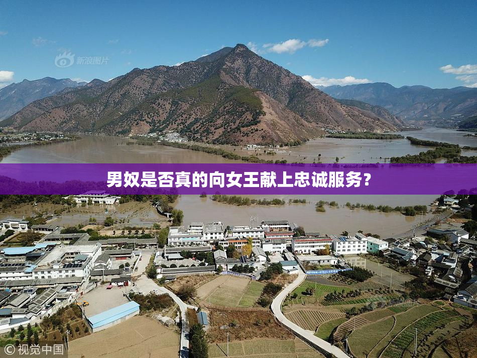 男奴是否真的向女王献上忠诚服务？