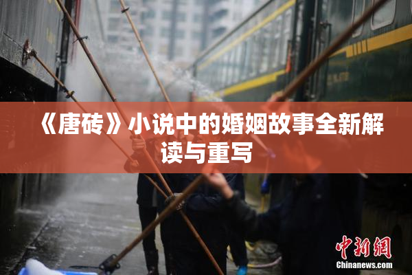 《唐砖》小说中的婚姻故事全新解读与重写