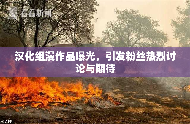 汉化组漫作品曝光，引发粉丝热烈讨论与期待