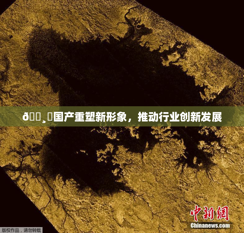 🌸‌国产重塑新形象，推动行业创新发展