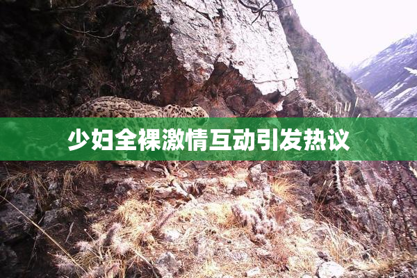 少妇全裸激情互动引发热议