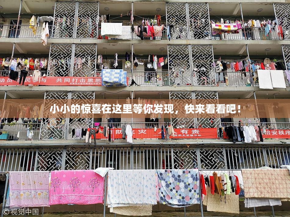 小小的惊喜在这里等你发现，快来看看吧！