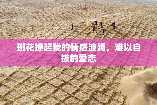 班花撩起我的情感波澜，难以自拔的爱恋