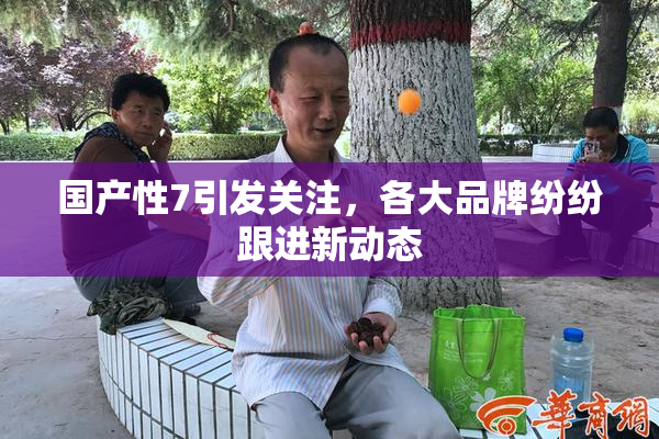 国产性7引发关注，各大品牌纷纷跟进新动态