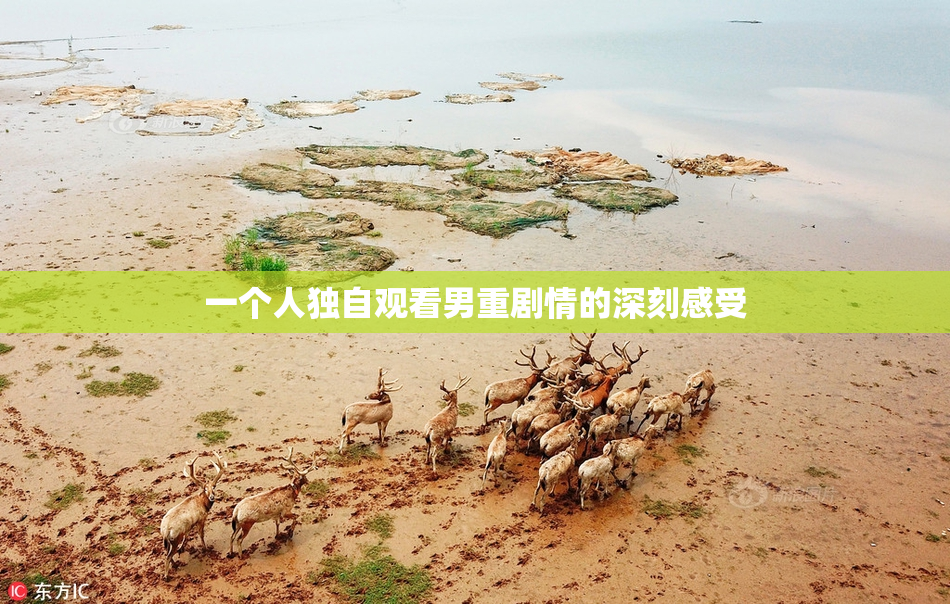 一个人独自观看男重剧情的深刻感受