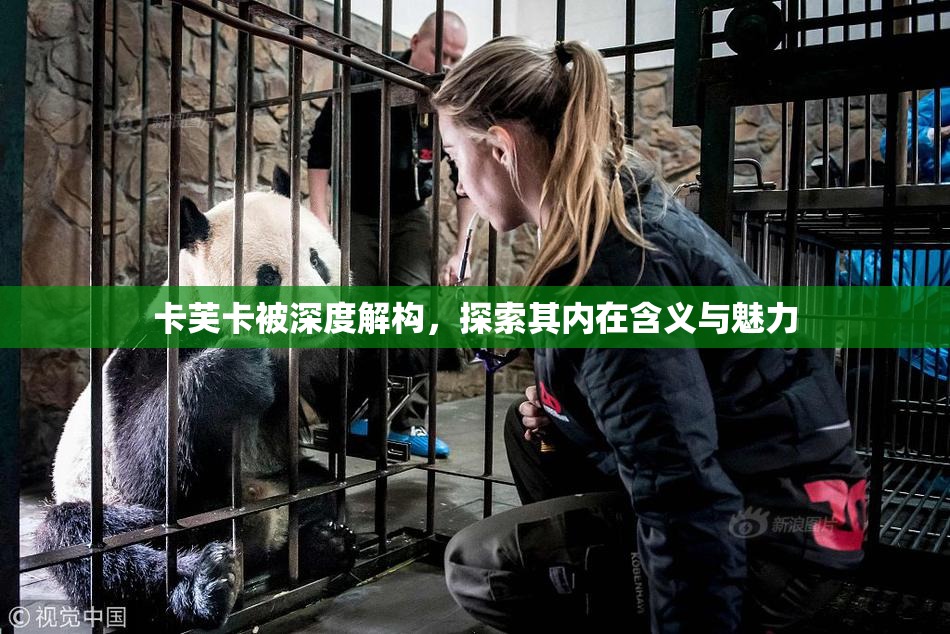 卡芙卡被深度解构，探索其内在含义与魅力