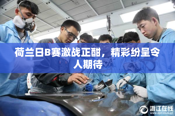 荷兰日B赛激战正酣，精彩纷呈令人期待