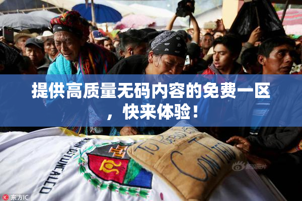提供高质量无码内容的免费一区，快来体验！