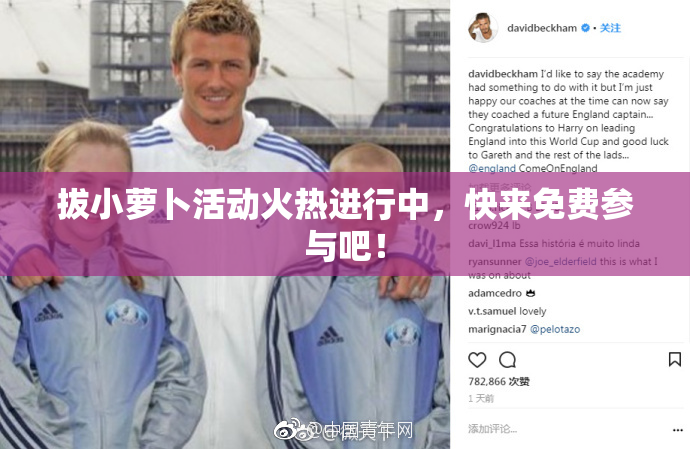 拔小萝卜活动火热进行中，快来免费参与吧！
