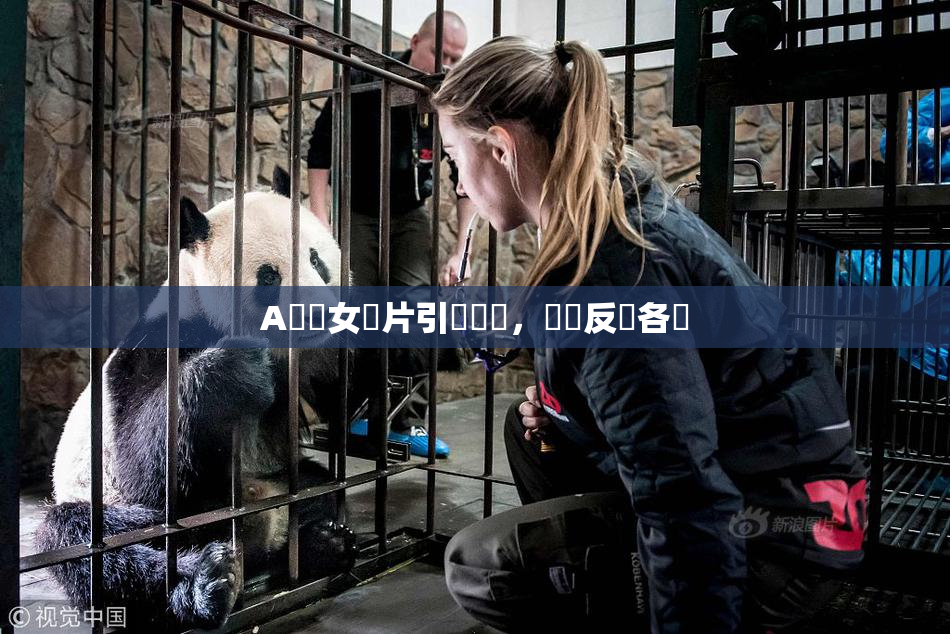 A級處女黃片引發熱議，觀眾反應各異