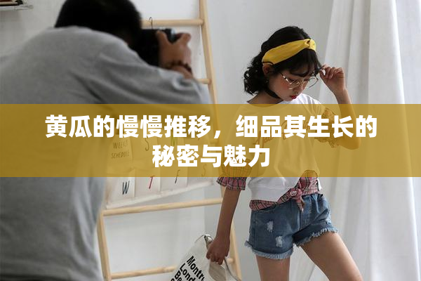 黄瓜的慢慢推移，细品其生长的秘密与魅力