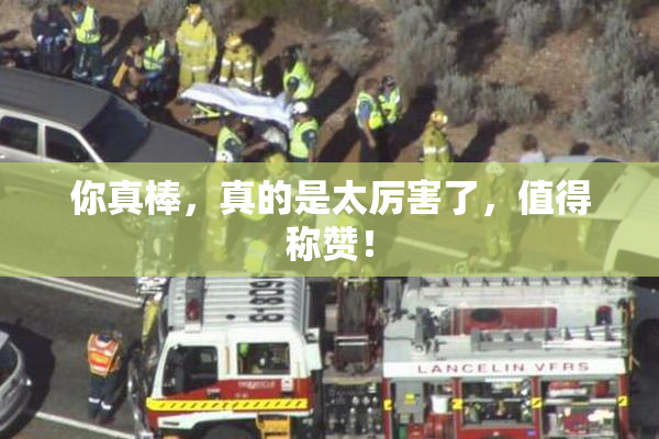 你真棒，真的是太厉害了，值得称赞！