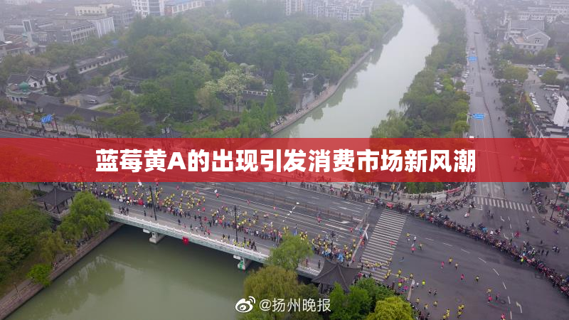 蓝莓黄A的出现引发消费市场新风潮