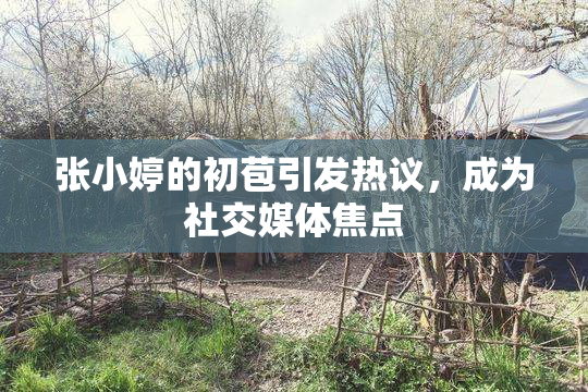 张小婷的初苞引发热议，成为社交媒体焦点