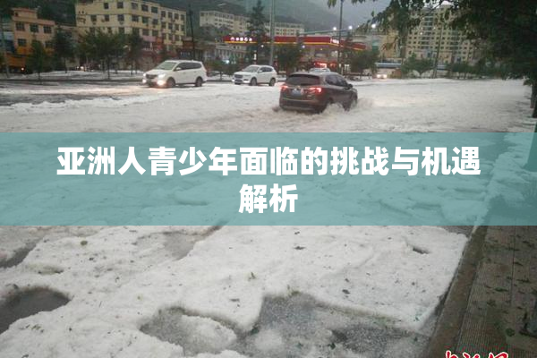 亚洲人青少年面临的挑战与机遇解析