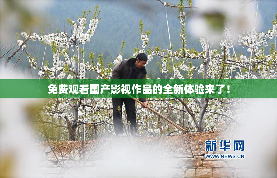 免费观看国产影视作品的全新体验来了！