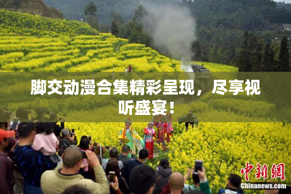 脚交动漫合集精彩呈现，尽享视听盛宴！