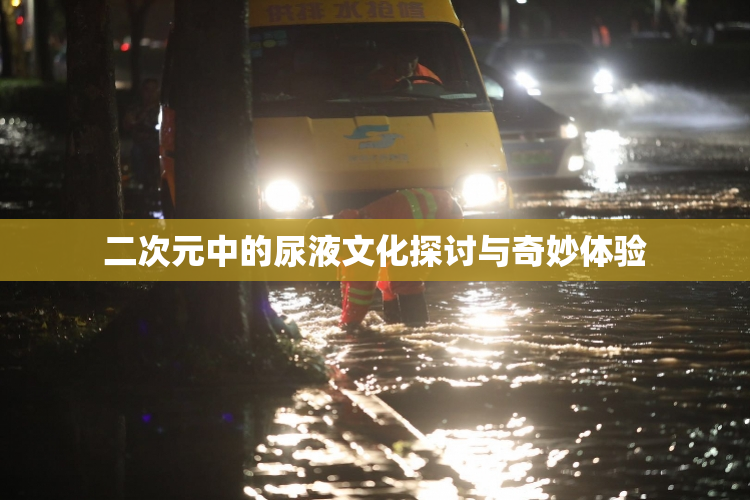 二次元中的尿液文化探讨与奇妙体验
