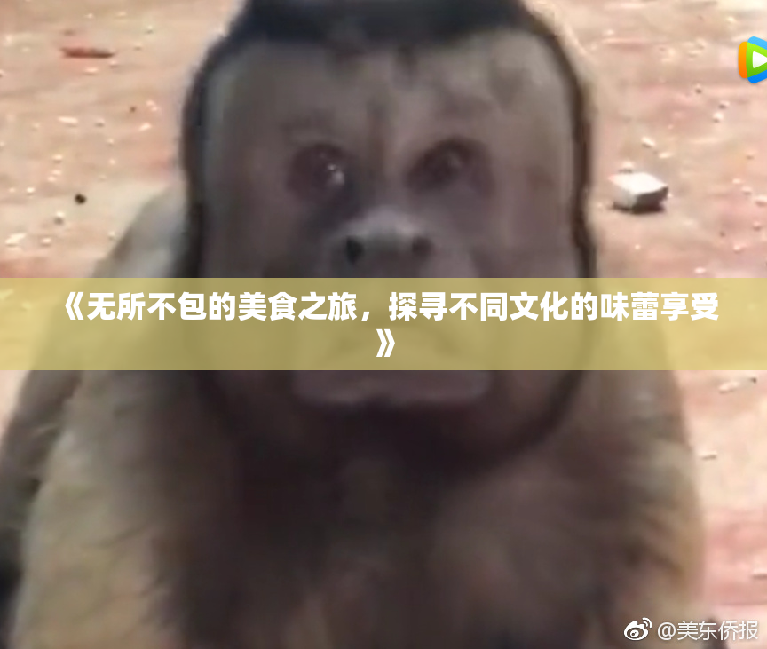 《无所不包的美食之旅，探寻不同文化的味蕾享受》