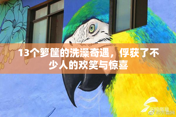 13个箩筐的洗澡奇遇，俘获了不少人的欢笑与惊喜