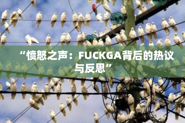 “愤怒之声：FUCKGA背后的热议与反思”