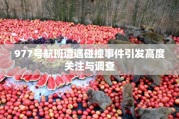 977号航班遭遇碰撞事件引发高度关注与调查