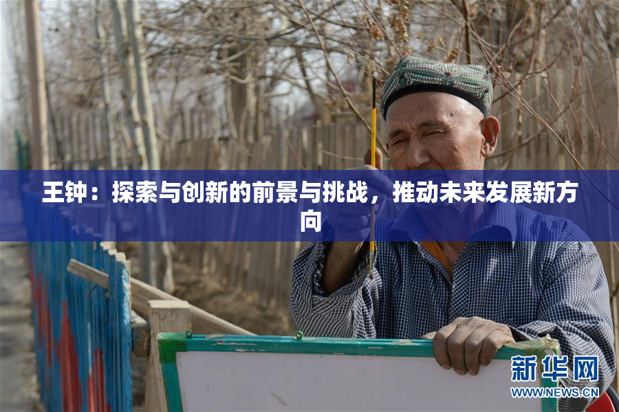 王钟：探索与创新的前景与挑战，推动未来发展新方向