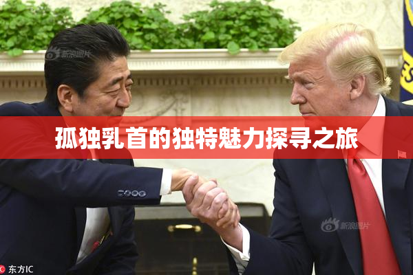 孤独乳首的独特魅力探寻之旅