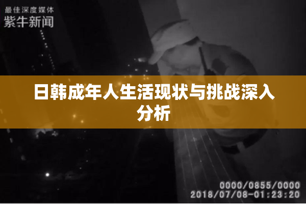 日韩成年人生活现状与挑战深入分析