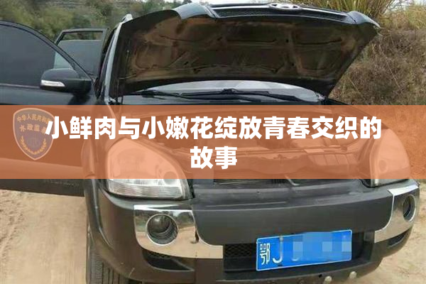 小鲜肉与小嫩花绽放青春交织的故事