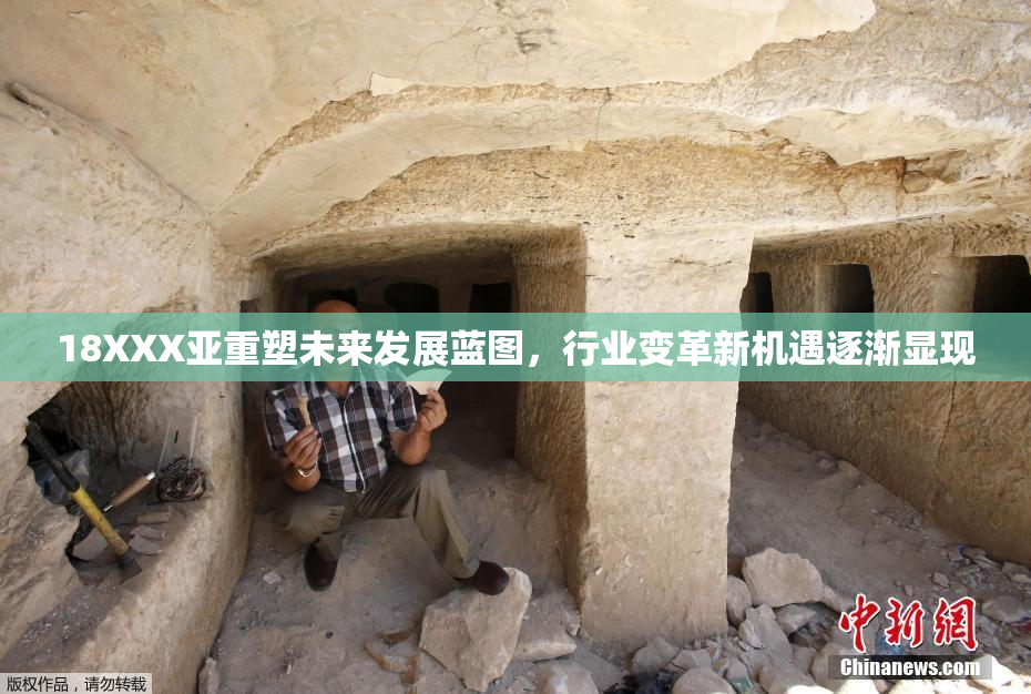 18XXX亚重塑未来发展蓝图，行业变革新机遇逐渐显现