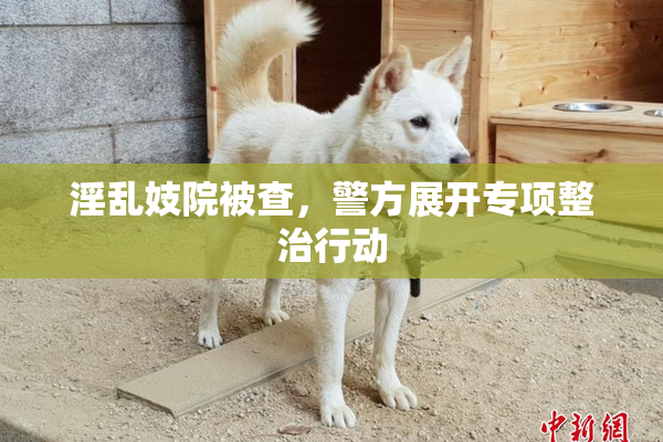 淫乱妓院被查，警方展开专项整治行动