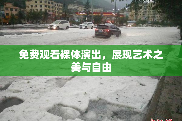 免费观看裸体演出，展现艺术之美与自由