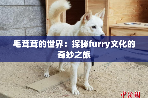 毛茸茸的世界：探秘furry文化的奇妙之旅